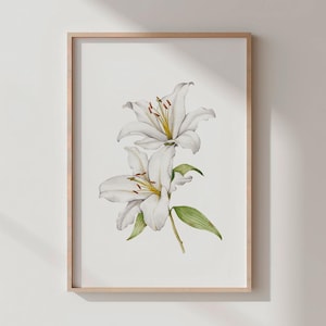 White Lily Watercolor Art Print | Botanical Poster (Digital Download)
