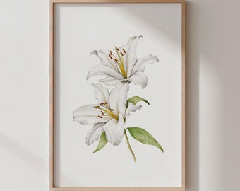 White Lily Watercolor Art Print | Botanical Poster (Digital Download)