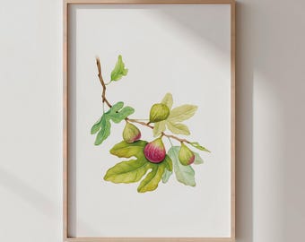 Fig Watercolor Print, Botanical Kitchen Wall Art (Digital Download)