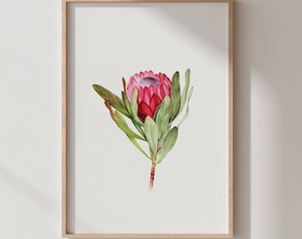 Protea Watercolor Print, Boho Botanical Wall Art (Digital Download)