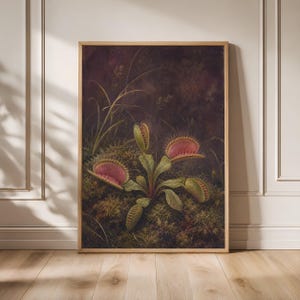 Puede incluir: Una impresión de arte mural enmarcada que presenta una ilustración botánica de una planta atrapamoscas con hojas verdes y trampas de tonos rosados, sobre un fondo de suelo forestal oscuro, musgoso y texturizado con hierbas altas y finas.