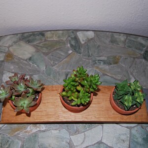 Wine Stave Tabletop Garden Planter with Terra Cotta Pots image 4