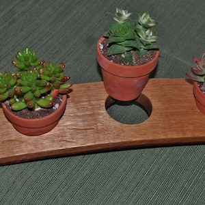 Wine Stave Tabletop Garden Planter with Terra Cotta Pots image 3