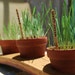 see more listings in the Tabletop Planters section