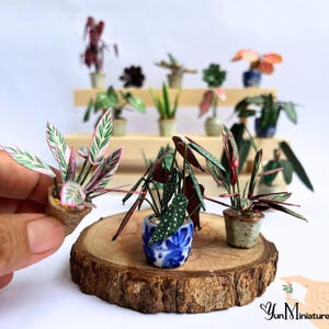 Miniature Houseplant Templates: 15 Paper Craft Plants (PDF Download)