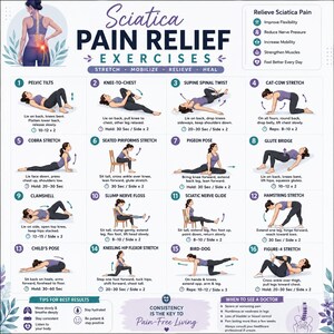 Sciatica Pain Relief Exercises Printable | Sciatic Nerve Stretch Chart PDF | Lower Back & Hip Mobility Guide | Physical Therapy Poster