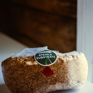Sterile Sawdust Bag for Mushroom Inoculation | Pre-sterilized Substrate for Gourmet & Medicinal Fungi | Grow Kit Supply