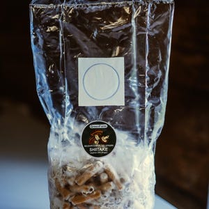 Shiitake Mushroom Plug Spawn – 200 Log Plugs | Grow Lentinula edodes | Organic Mushroom Growing Kit for Logs
