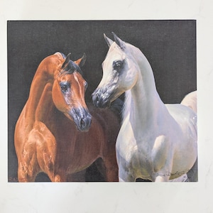 Arabian Horse Grey Arabian Bay Arabian Signed Giclee