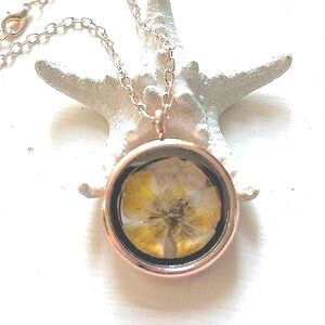 May include: A gold-colored necklace with a round pendant. The pendant has a clear glass cover and contains a yellow and white flower. The necklace is resting on a white, star-shaped object.