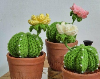 May include: Crocheted cactus plants in terracotta pots. The green cacti have white pearl accents and are topped with yellow, white, and pink crocheted flowers. The plants are displayed on a wooden surface.