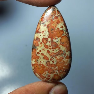 May include: A polished, teardrop-shaped gemstone with a speckled pattern. The stone features a mix of orange and cream colors, with darker spots scattered across the surface. The gemstone is held between two fingers.