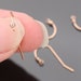 Jewelry Suplies, Rose Gold Fishhook Earwires with CZ, Earring Findings, 2 pc, JW9893