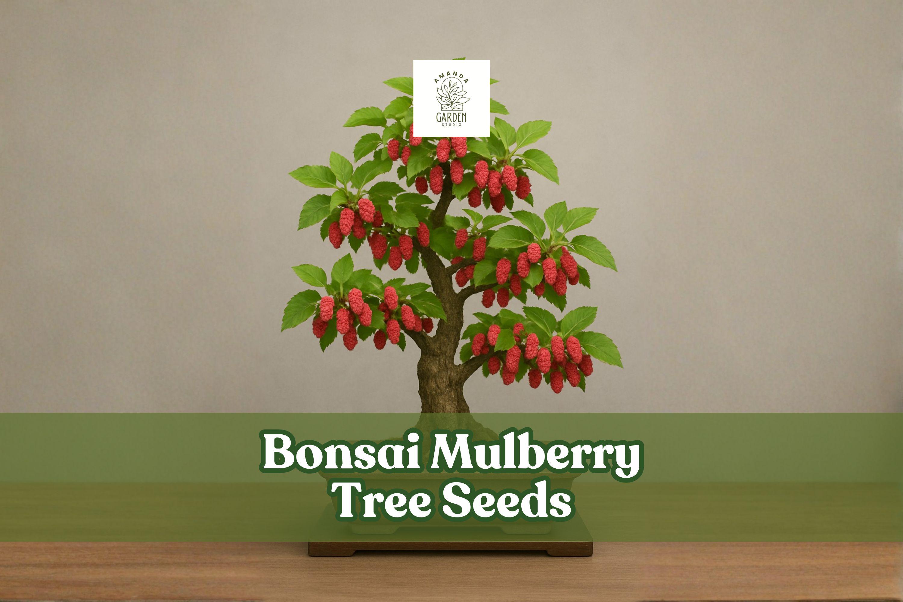 25 Bonsai Mulberry Tree Seeds  Morus Nigra, Easy Grow Mini Tree - Etsy