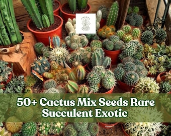 50+ Cactus Mix Seeds Rare Succulent Exotic Hardy Cactaceae