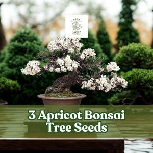 dnger fr bonsai ficus Bonsaidnger - Mineralischer NPK Flssigdnger mit Stickstoff