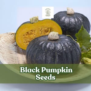 May include: Three black pumpkins, one sliced open to reveal bright orange flesh, rest in a woven basket with green leaves. The text "Black Pumpkin Seeds" is displayed on a green banner.