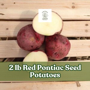 May include: Four red Pontiac seed potatoes, two whole and two cut in half, are arranged on a wooden crate. The text "2 lb Red Pontiac Seed Potatoes" is displayed on a green banner below the potatoes.