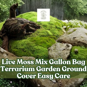 May include: A lush, green moss mix for terrarium gardens. The image features a natural landscape with live moss, rocks, and a weathered tree trunk. Text on the image reads "Live Moss Mix Gallon Bag Terrarium Garden Ground Cover Easy Care."