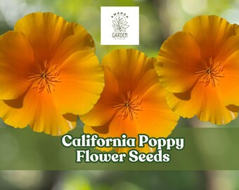5,000 California Poppy Flower Seeds – Bright Orange Native Wildflowers – Drought-Tolerant Blooms for Pollinator Gardens