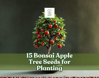 15 Bonsai Apple Tree Seeds for Planting | Malus domestica | Mini Fruit | Container & Indoor Growing