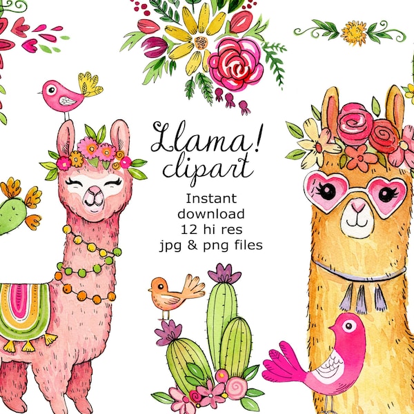 LLama Digital clipart,hand drawn clipart, watercolor llama clip art,300 dpi, digital download, watercolor clip art, png files