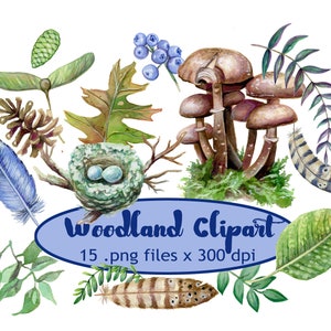 Woodland Clip Art, instant digital download, PNG Files,Art for invitations,Stationery, Sublimation clipart