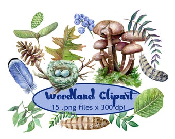 Watercolor Woodland Nature Clip Art PNG Images