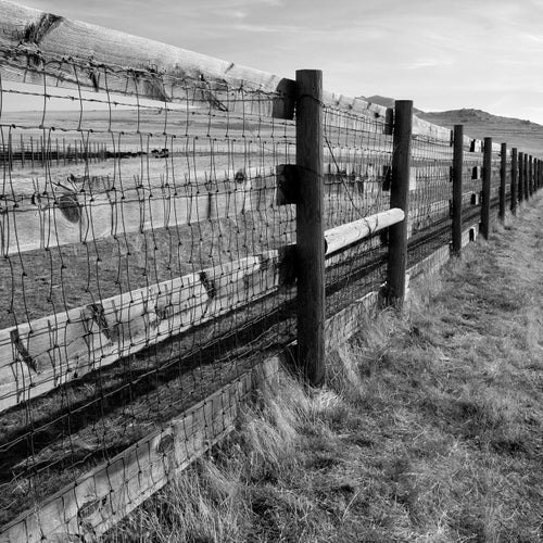 Vintage Original Varsity by Catalina Lined Jacket Size 42 Beige