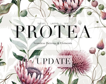 Protea | Luxury Botanical Prints And Motifs