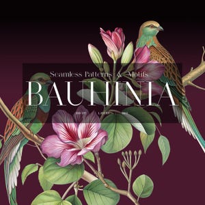 Può includere: Illustrazione digitale con due uccelli appollaiati su rami tra fiori di Bauhinia rosa e foglie verdi. L'immagine ha uno sfondo bordeaux scuro e include il testo "Seamless Patterns & Motifs" e "BAUHINIA".