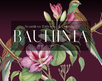 Bauhinia Exotic Floral Prints
