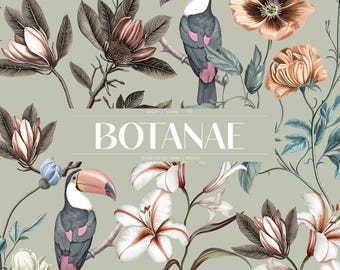 Botanae Botanical Prints And Motifs