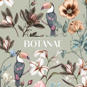 Botanae Seamless Patterns And Motifs