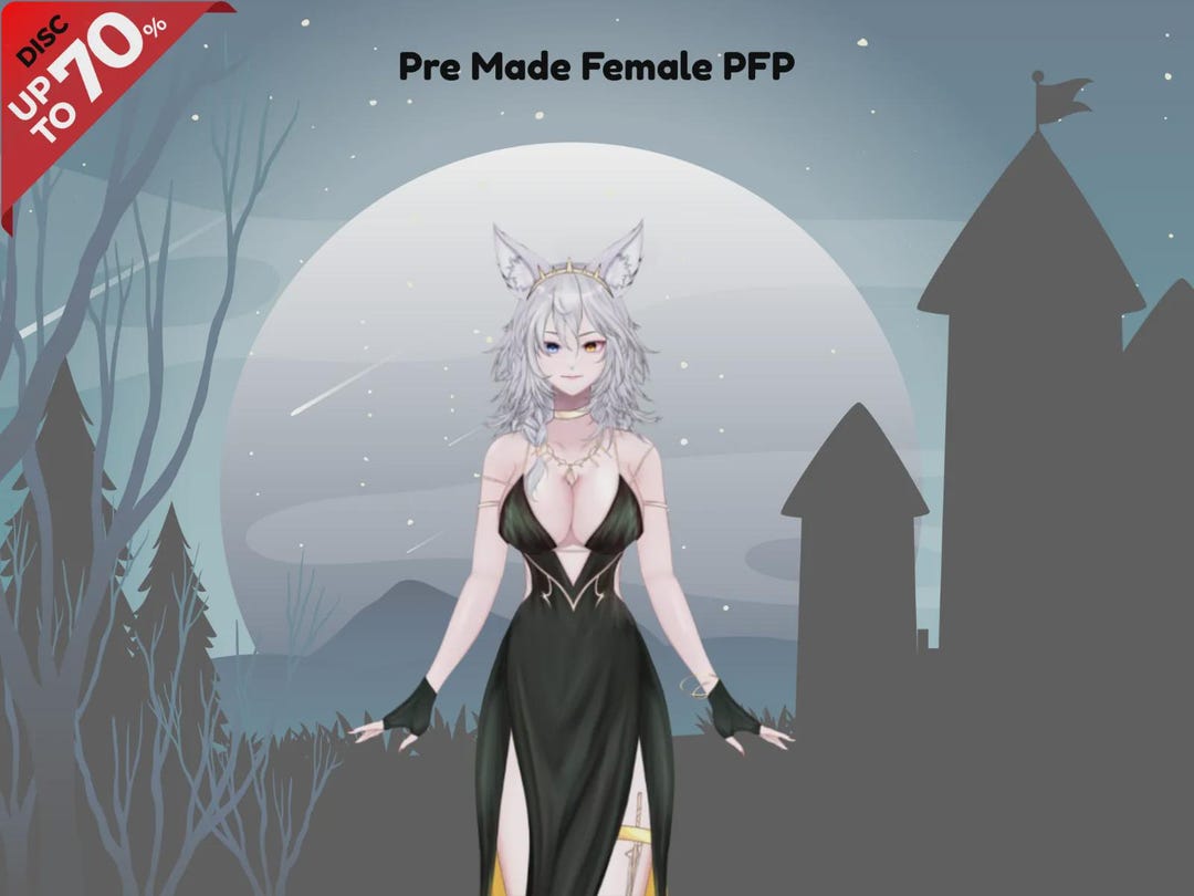 Top Model Pfp Aesthetic Premade PFP Art Model, Anime Character, PFP Icon for ...