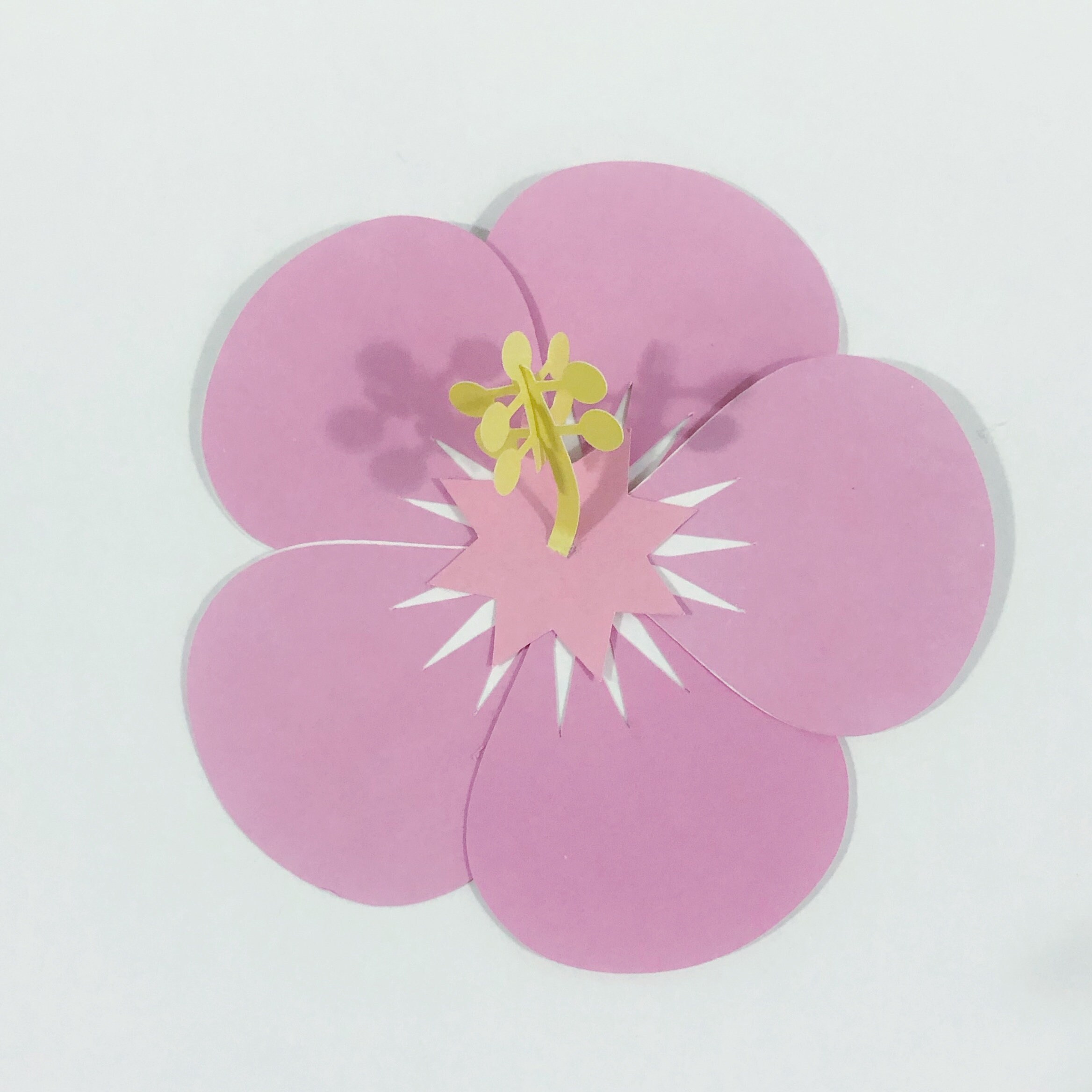 3d Hibiscus Flower Cut File 3d Layered Hibiscus Svg
