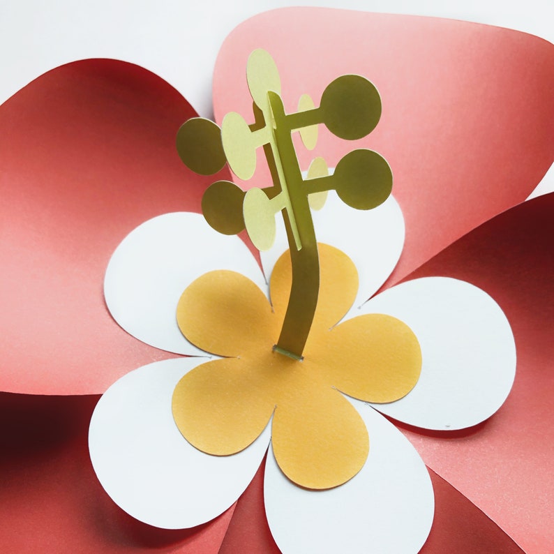 Download 3D Hibiscus Flower Cut File / 3D Layered Hibiscus SVG / 3D ...