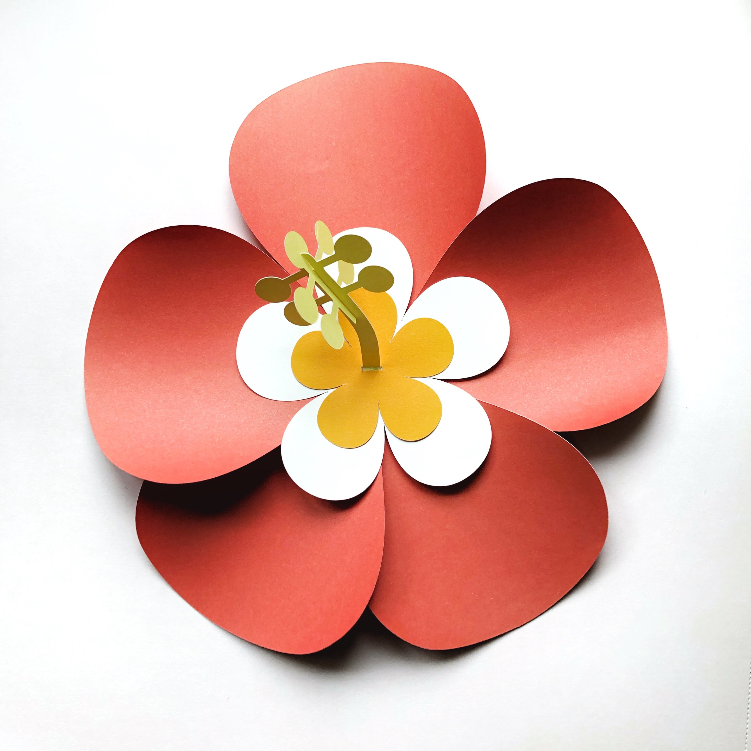 Download 3d Hibiscus Flower Cut File 3d Layered Hibiscus Svg 3d Etsy