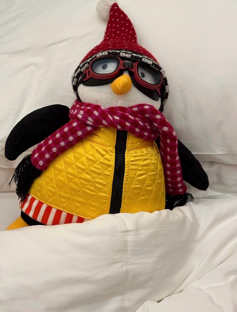 Amis Mignons Hugsy Jouets en Peluche Joey's Friend Hug Rachel Pingouin Peluche Animal Poupées pour Enfants Cadeau de Noël d'Anniversaire 27cm Pingouin Amis Mignons Hugsy Jouets en Peluche Joey's Friend Hug Rachel Pingouin Peluche Animal Poupées pour Enfants Cadeau de Noël d'Anniversaire 27cm Pingouin