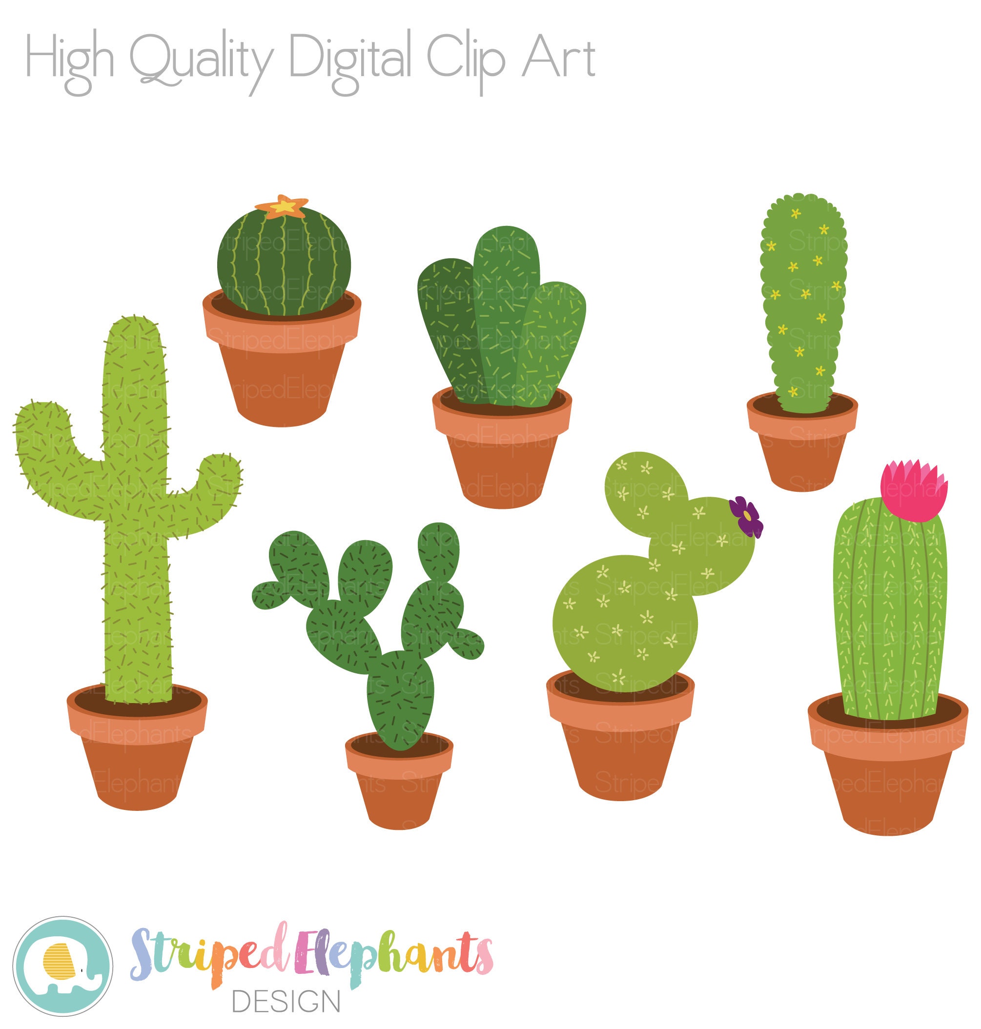 Cacti Clip Art, Cactus Clipart, Succulent Clip Art, Plants Clipart, Instant  Download, Commercial Use