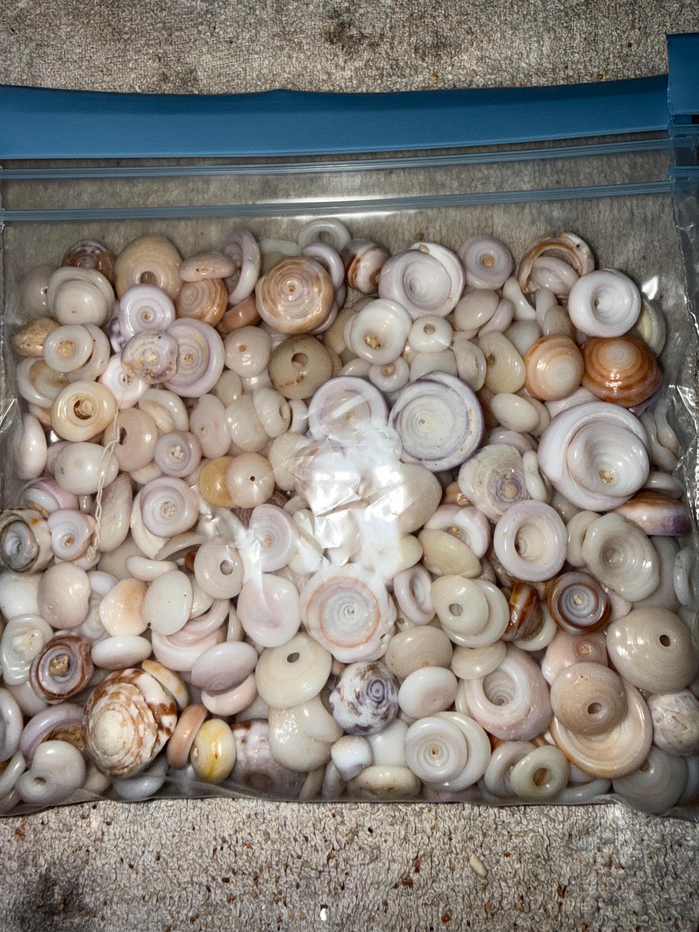 Puka Shell Objects Puka Shells From Hawaii Beaches - Etsy