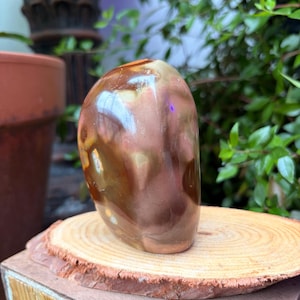 Polished Jasper Freeform — photo 5