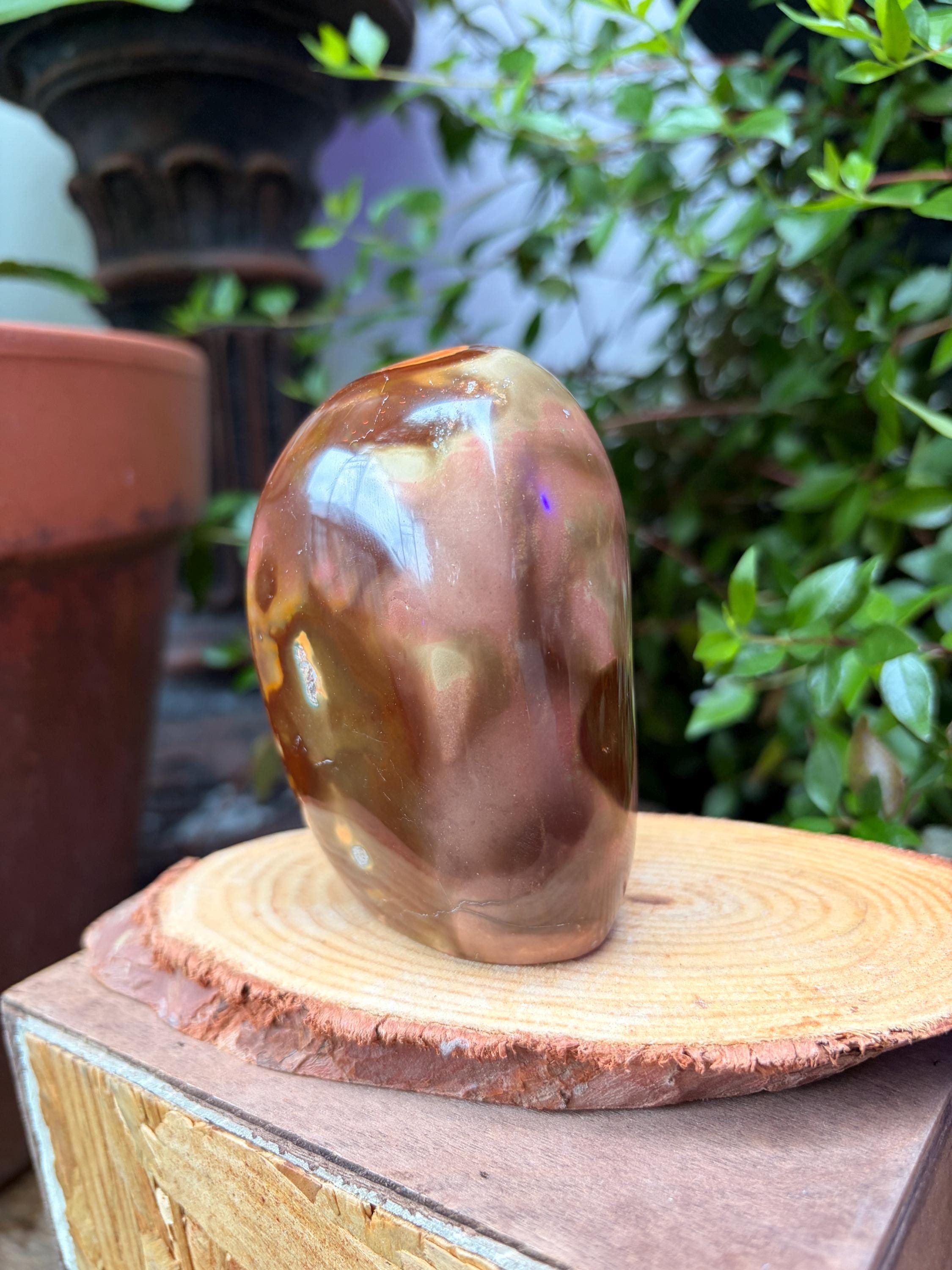 Polished Jasper Freeform — photo 5