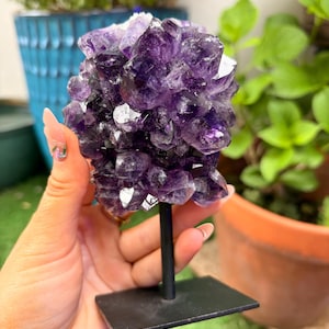 Amethyst Flower Display — photo 5