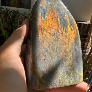 Large Labradorite Freeform — photo 5