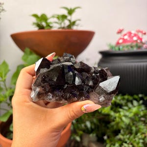 Smoky Quartz Cluster — photo 6