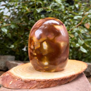 Polished Jasper Freeform — photo 2