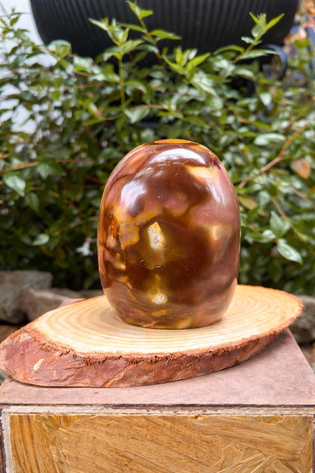 Polished Jasper Freeform — photo 2
