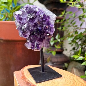 Amethyst Flower Display — photo 3