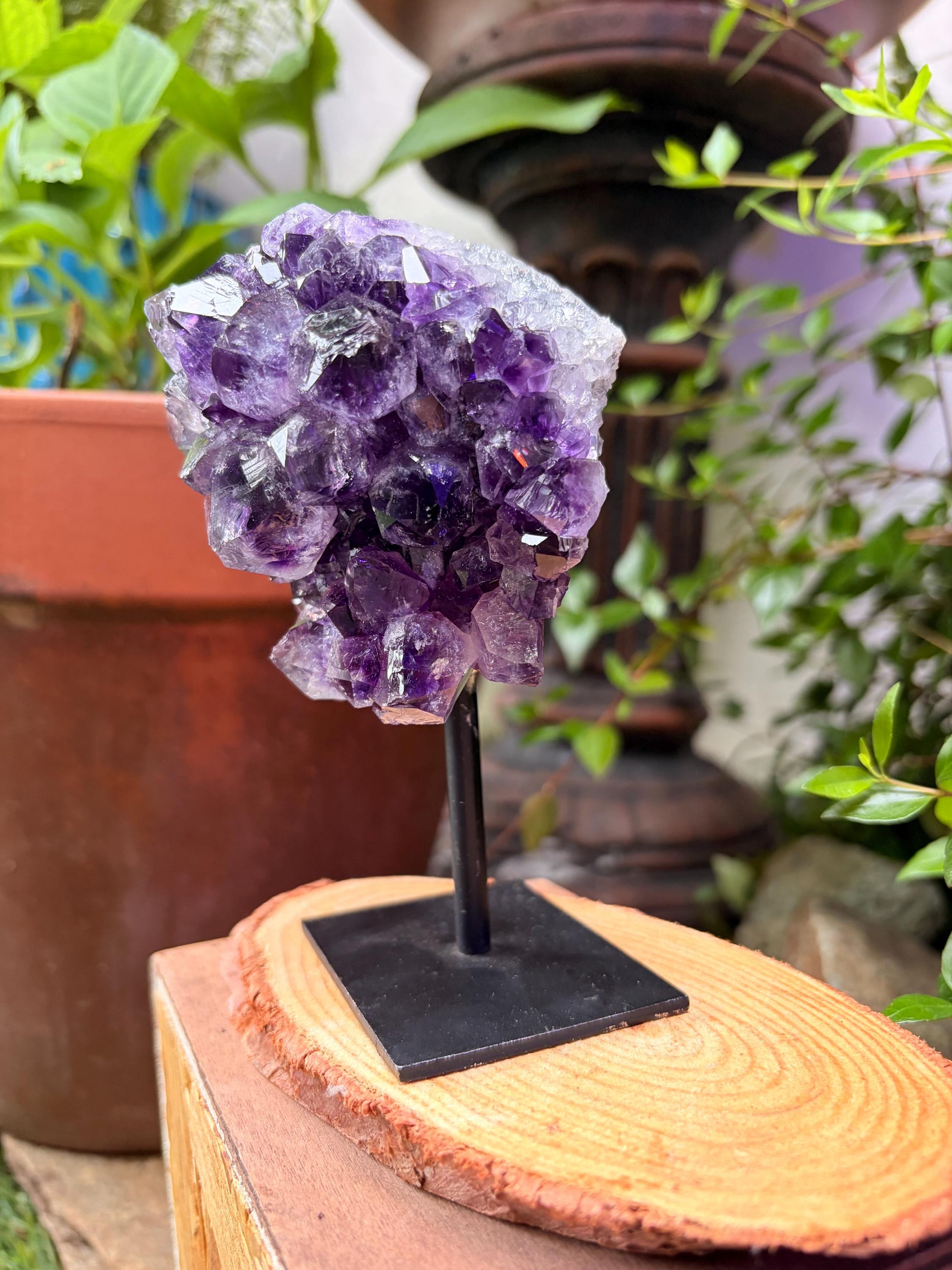 Amethyst Flower Display — photo 3